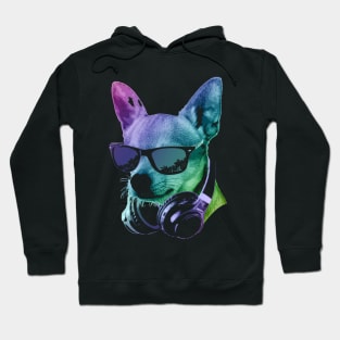 Dj Chiuahua With Headphones And Sunglasses Hoodie